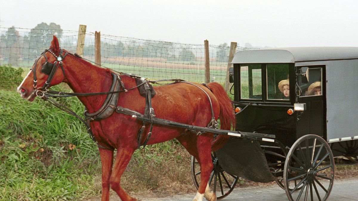A Beginner's Guide to Traditional Coachbuilding Techniques