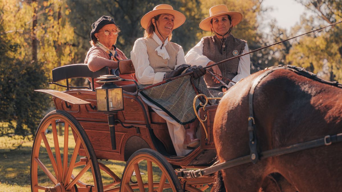 How to Plan Carriage Transport for Wedding Venues