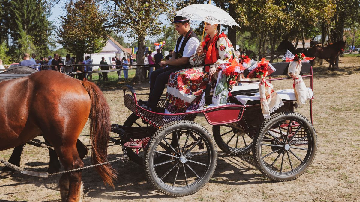 Navigating Narrow Country Lanes with a Carriage
