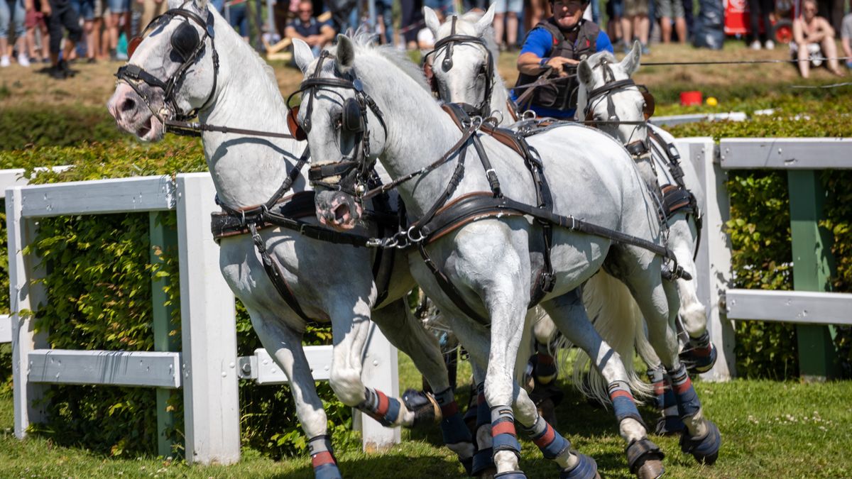Visiting Heritage Carriage Museums Across Britain
