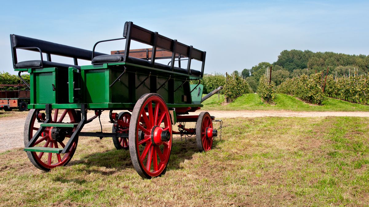 Choosing the Right Carriage for Country Weddings