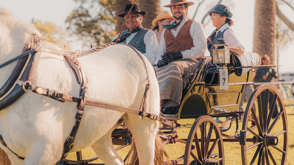 Driving a Pair: Skills for Harnessing Two Horses