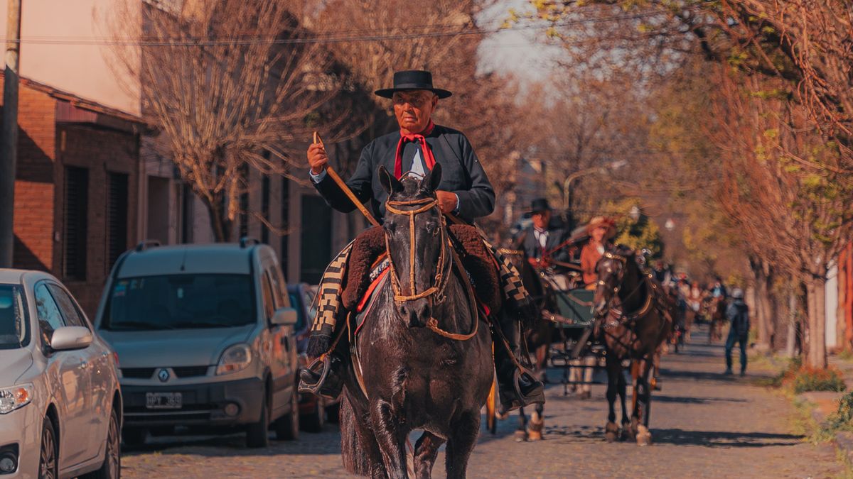 Hosting a Country Carriage Drive for Charity