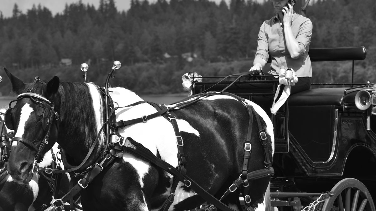 The Role of a Groom on Carriage Driving Days