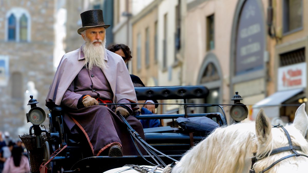 Understanding Bit and Bridle Choices for Carriage Driving