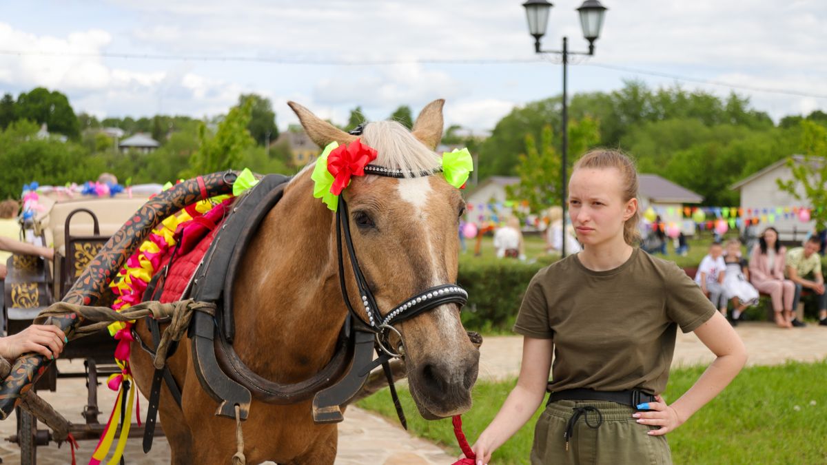 Winter Care Tips for Carriage Horses and Harness